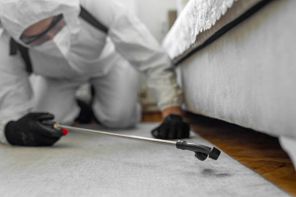 Professional Mosquito Control technician working in Whitefish, MT