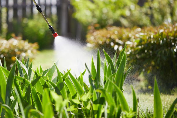24/7 Emergency Mosquito Control experts in Whitefish, MT