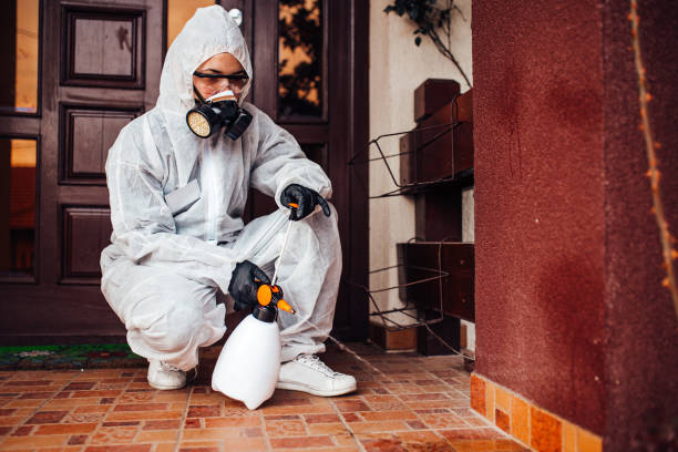 Reliable Mosquito Control contractor in Whitefish, MT by Nex Pest Control